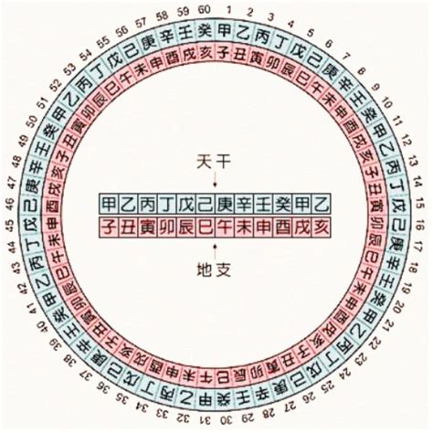 地支表|干支次序表